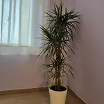 Apartamento Il Sogno Degli Angeli Santa Maria Degli Angeli (Assisi)