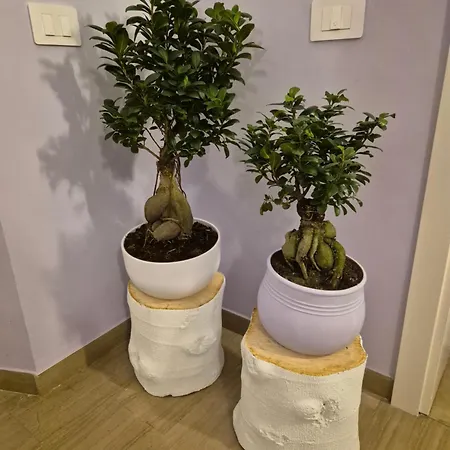 Daire Il Sogno Degli Angeli *